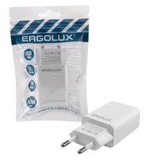 ERGOLUX (15203) ELX-РA01P-C01 ПРОМО (Сетевой адаптер 10Вт 1USB, 100-220В, 5V/2А, Белый, Пакет)