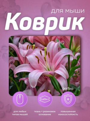 PERFEO (PF_E1769) ЦВЕТЫ