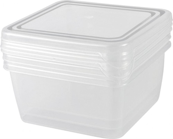 PLAST TEAM PT203912999 Frozen квадр. нат. 0,45л (3 предмета)