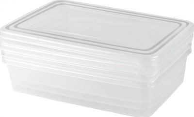 PLAST TEAM PT204312999 Frozen прямоуг. нат. 0,9л (3 предмета)