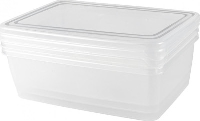 PLAST TEAM PT204412999 Frozen прямоуг. нат. 1,35л (3 предмета)